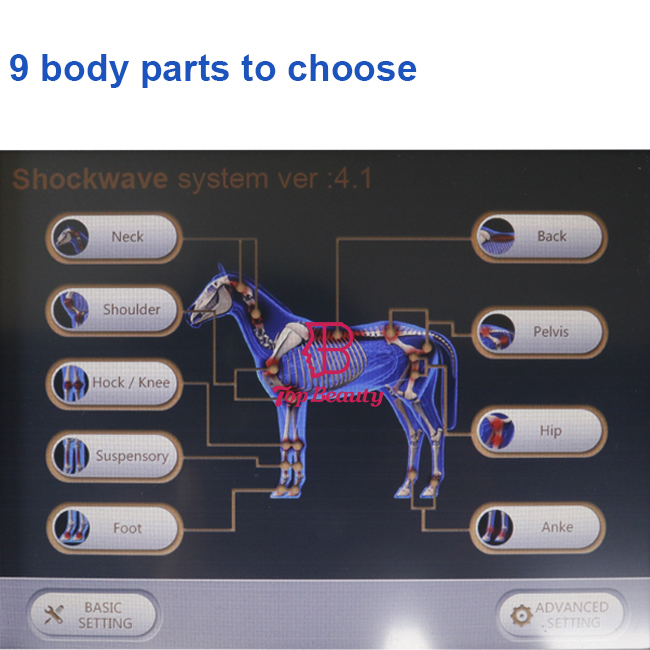 علاج صدمة موجة الخيول الرعاية الصحية للحيوانات الأليفة علاج صدمة موجة منتجات الرعاية الصحية للحيوانات آلة