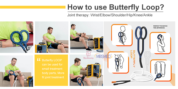 صورة توضح تأثير PEMF على الأعضاء الداخلية