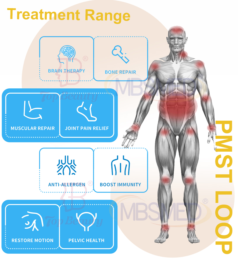 صورة لعلاج PEMF للحيوانات
