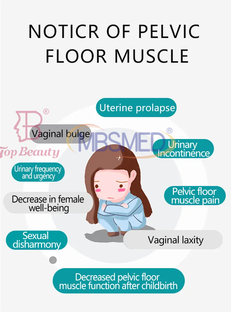 وسادة كرسي عضلات قاع الحوض علاج كرسي قاع الحوض إصلاح EMS كرسي قاع الحوض