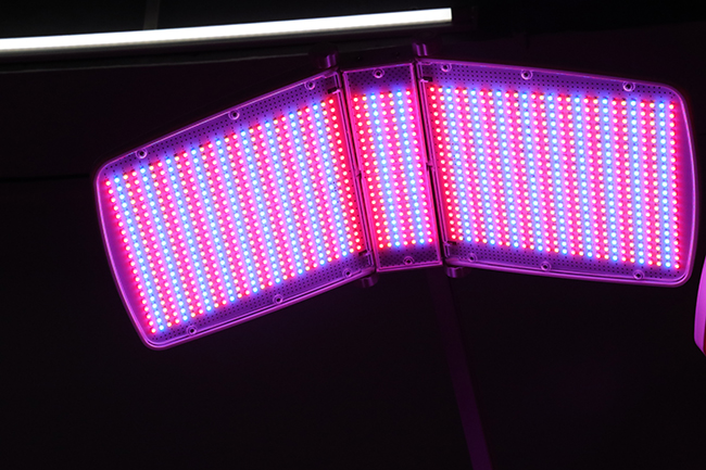 جهاز علاج الوجه بضوء LED ب7 ألوان للعناية بالبشرة والعلاج بالضوء الفوتونى المزدوج PDT