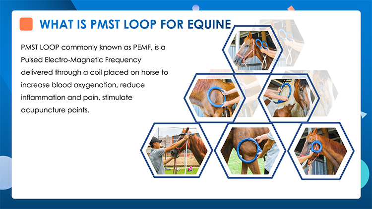 جهاز العلاج المغناطيسي بيمف فيت بلس إعادة التأهيل البدني العلاج المغناطيسي