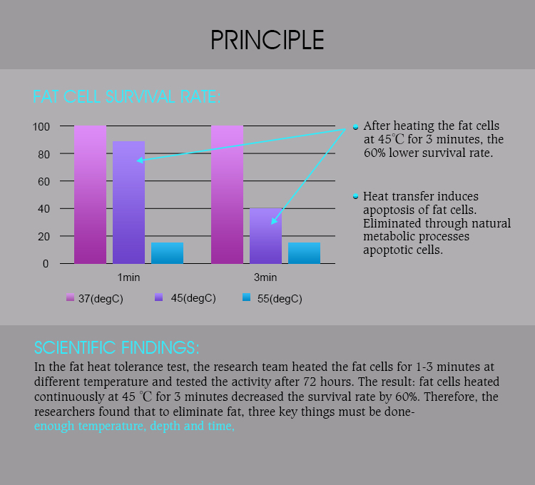 3 في 1 صالون استخدام Trusculpt Id Flex Rf نحت الجسم نحت الجسم 2 ميجاهرتز علاج السيلوليت تقليل الدهون آلة Trufat