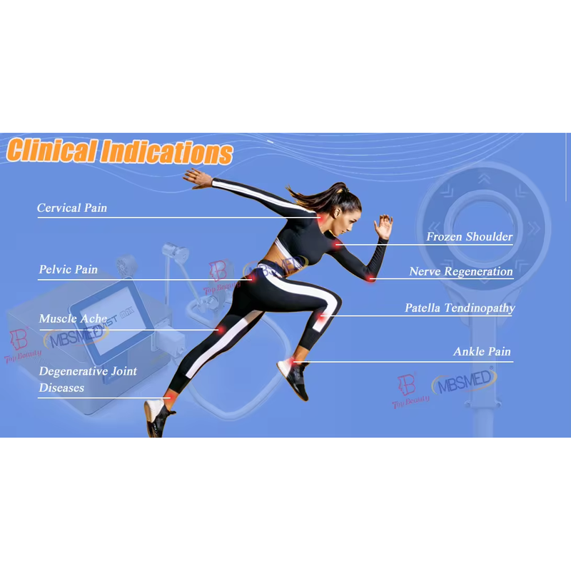 العلاج بالتحويل المغناطيسي خارج الجسم معتمد من CE لتطبيق العلاج على الجسم بالعلاج المغناطيسي الفيزيائي النبضي