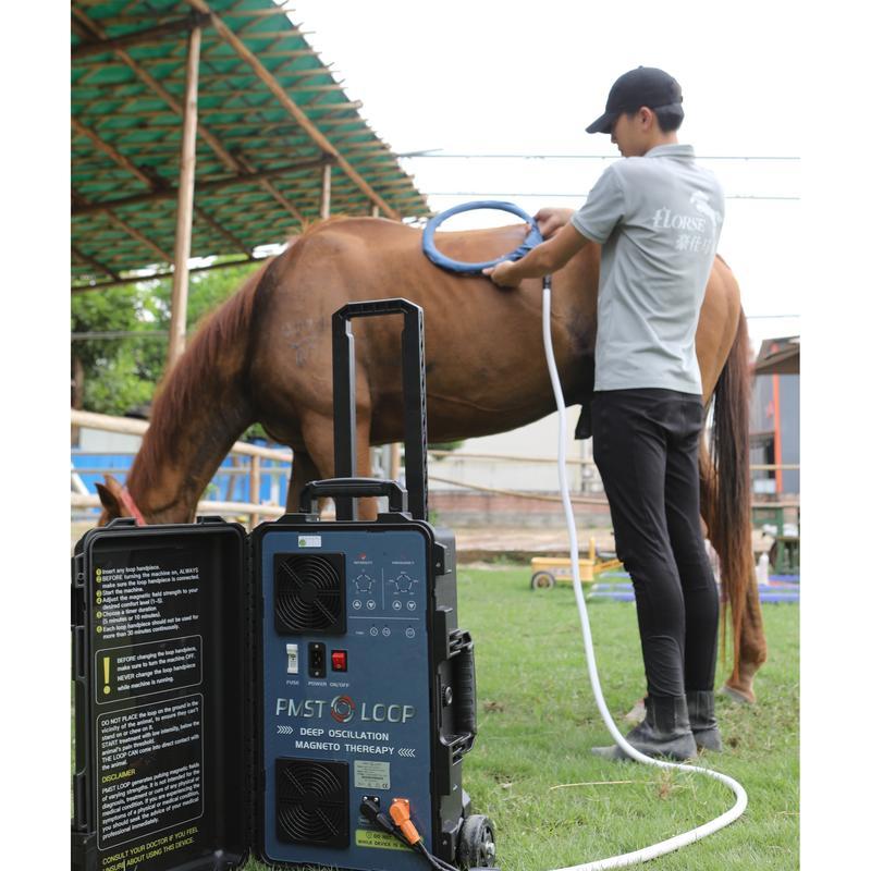 جهاز العلاج المغناطيسي بيمف فيت بلس إعادة التأهيل البدني العلاج المغناطيسي