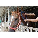 جهاز العلاج المغناطيسي بيمف فيت بلس إعادة التأهيل البدني العلاج المغناطيسي