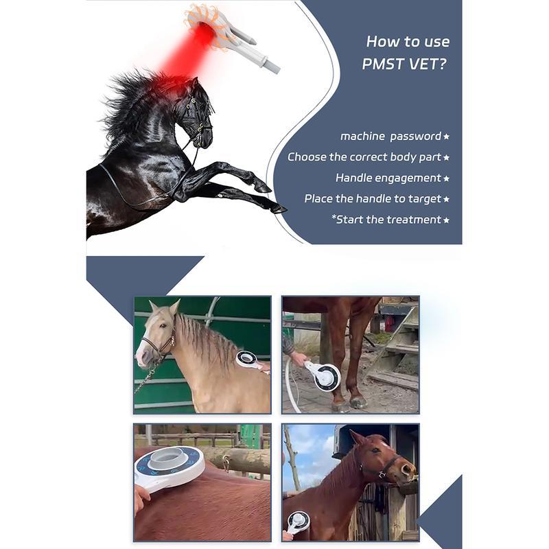 العلاج المغناطيسي خارج الجسم للخيول بعلاج المغناطيسي بيمف العلاج الطبيعي آلة العناية بالحيوانات