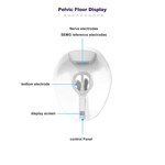 جهاز تدريب عضلات الفخذين الكهرومغناطيسي لعلاج سلس البول وعضلات قاع الحوض