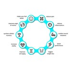 غرفة العلاج بالتبريد آلة العلاج الطبيعي كريوسونا آلة العلاج بالتبريد