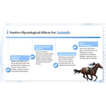 آلة العلاج المغناطيسي إم تي تي فيزيو المحمولة 2024 العلاج الطبيعي المغناطيسي لتخفيف الألم