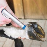 علاج صدمة موجة الخيول الرعاية الصحية للحيوانات الأليفة علاج صدمة موجة منتجات الرعاية الصحية للحيوانات آلة